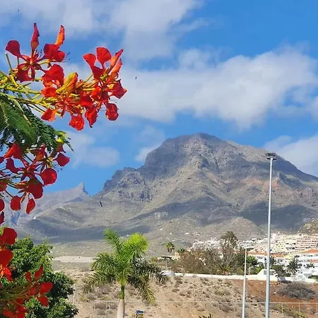 Sunset Star Orlando - Your Away From * Costa Adeje (Tenerife)