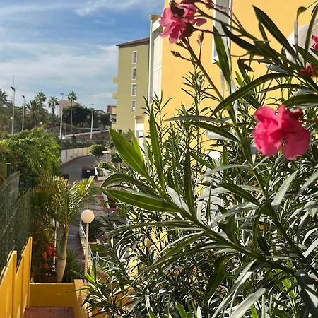 Sunset Star Orlando - Your Away From * Costa Adeje (Tenerife)