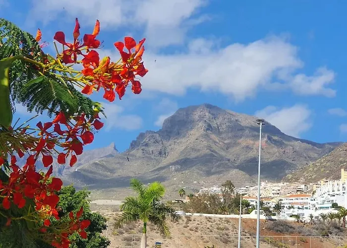 Sunset Star Orlando - Your Away From * Адехе