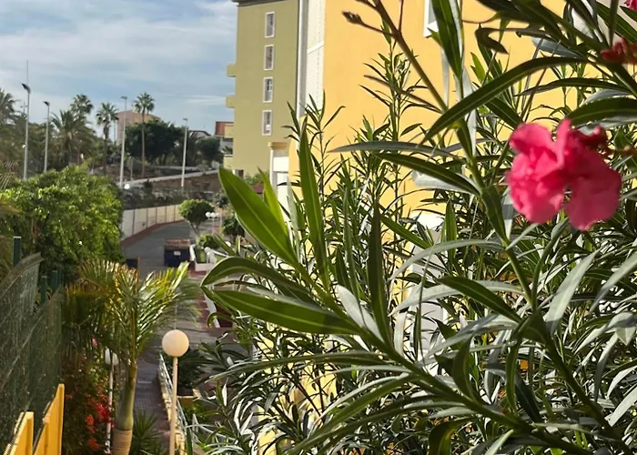 Sunset Star Orlando - Your Away From * Адехе